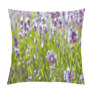 Personality  Beautiful Lavender Field Pillow Covers