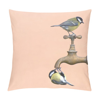 Personality  Thirsty Bird. Pillow Covers
