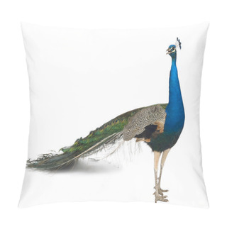 Personality  Male Indian Peafowl In Front Of White Background Pillow Covers
