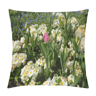 Personality  Colorful Flower Bed In The Spring With Primroses, Forget Me Nots And A Tulip Pillow Covers