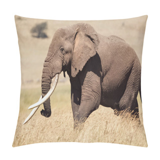 Personality  Really Big Male Elephant (Loxodonta Africana). Pillow Covers