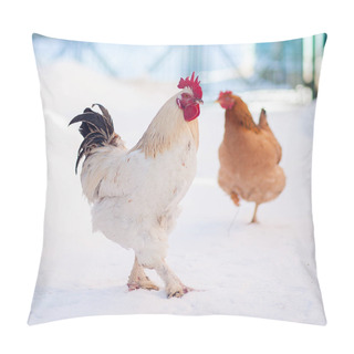 Personality  Main Rooster Boss Portrait.Cock In Winter, Snow Pillow Covers