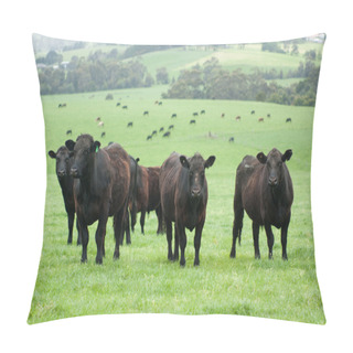 Personality  Farm Cattle Pillow Covers