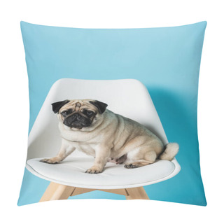 Personality  Funny Pug Dog Sitting On White Chair And Looking At Camera On Blue Background Pillow Covers