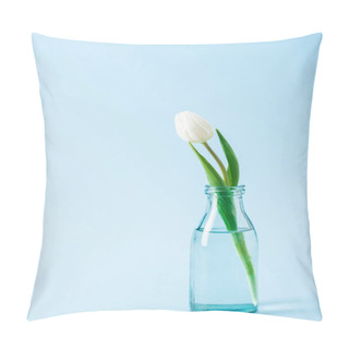 Personality  White Tulip In Transparent Glass Vase On Blue Background Pillow Covers