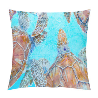 Personality  Sea Turtles Looking From The Water In The Reserve Pillow Covers