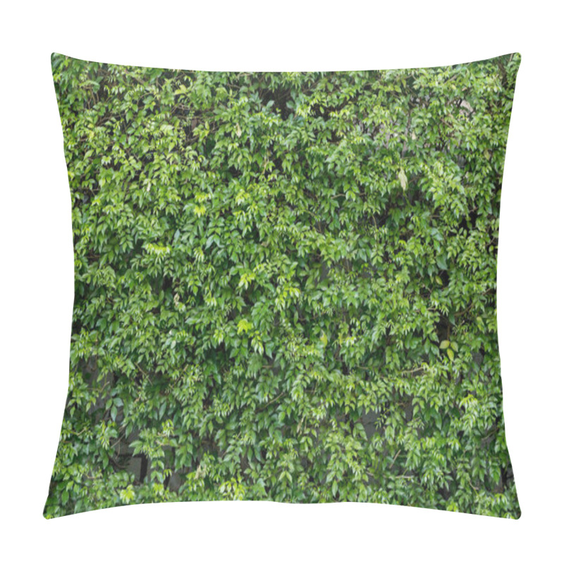 Personality  Herb Wall, Plant Wall, Natural Green Wallpaper And Background. Nature Wall. Pillow Covers
