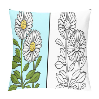 Personality  This Coloring Page Shows A Leucanthemum Daisy Flower. One Side Of This Illustration Is Colored And Serves As An Inspiration For Children. Pillow Covers