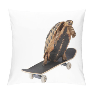 Personality  Fast Tortoise Pillow Covers