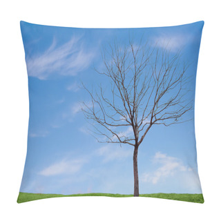 Personality  A Barren Tree With A Blue Sky And Grass Pillow Covers