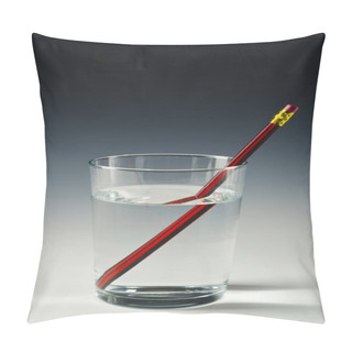 Personality  Physics. Light Refraction. Pillow Covers