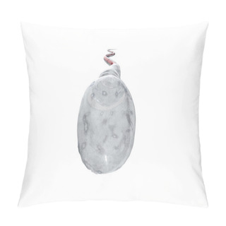 Personality  Spermatozoons, Floating To Ovule - 3d Render Pillow Covers