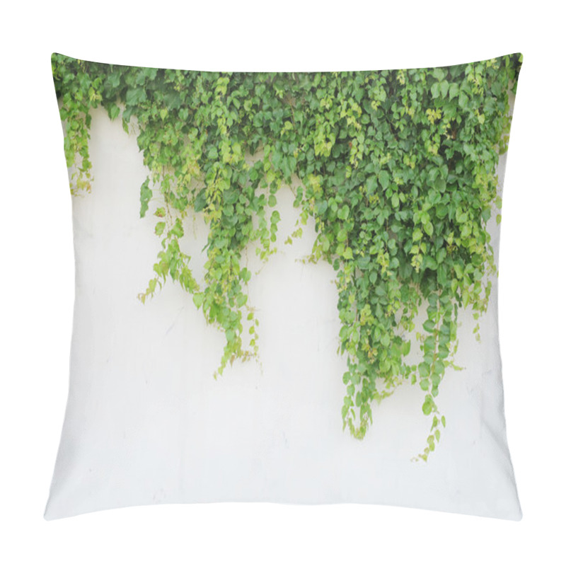 Personality  Ivy Leaves Isolated On A White Background Pillow Covers