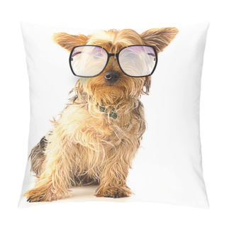 Personality  Yorkshire With Glasses Pillow Covers