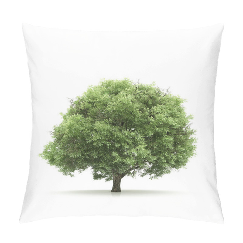 Personality  Tree isolated on a white background pillow covers
