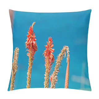 Personality  Kniphofia Detail Pillow Covers