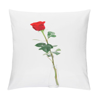 Personality  Close-up View Of Beautiful Blooming Red Rose Flower In Glass Jar Isolated On White  Pillow Covers