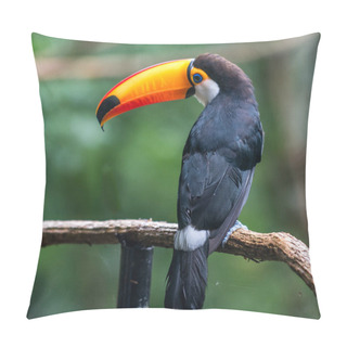 Personality  Toucan (Ramphastos Toco) Sitting On Tree Pillow Covers
