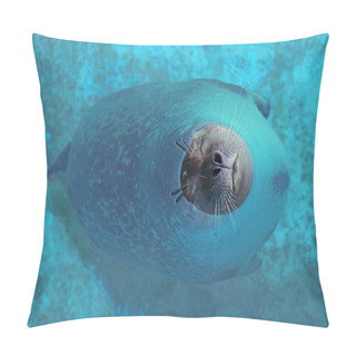 Personality  Sleeping Seals In The Water Pillow Covers