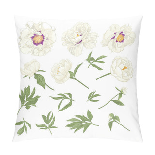 Personality  Peony Flower. Element For Design Pillow Covers