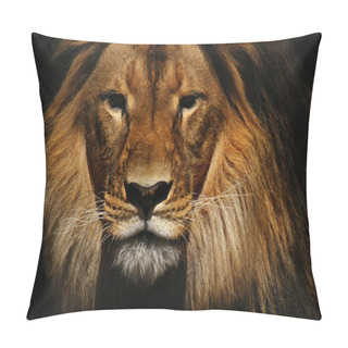 Personality  Lion Male Close-up Pillow Covers