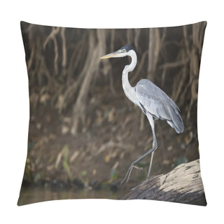 Personality  Cocoi Heron Standing On A Fallen Tree Pillow Covers