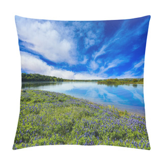 Personality  Texas Hill Country Pillow Covers