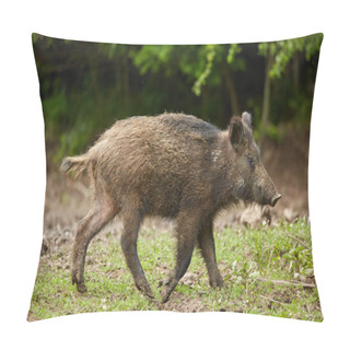 Personality  Juvenile Wild Hog Rooting, Searching For Food In The Forest Pillow Covers