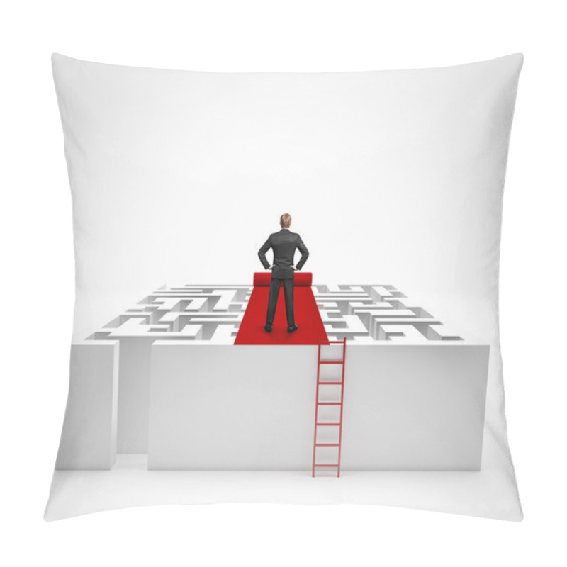 Personality  Businessman And Maze,concept Of Problem And Task Pillow Covers