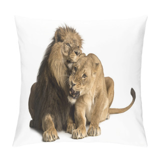 Personality  Lion And Lioness Cuddling, Lying, Panthera Leo, Isolated Pillow Covers