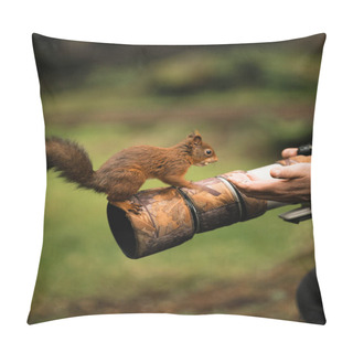 Personality  Red Squirrel On End Of Camera Lens Pillow Covers