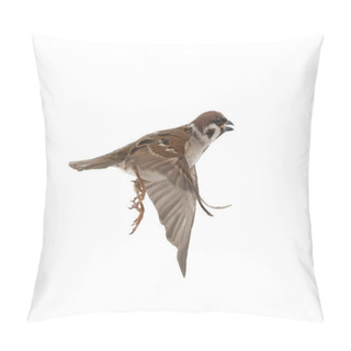 Personality  Flying Sparrow Isolated On White Background Pillow Covers