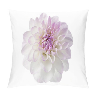 Personality  White Dahlia Isolated Pillow Covers