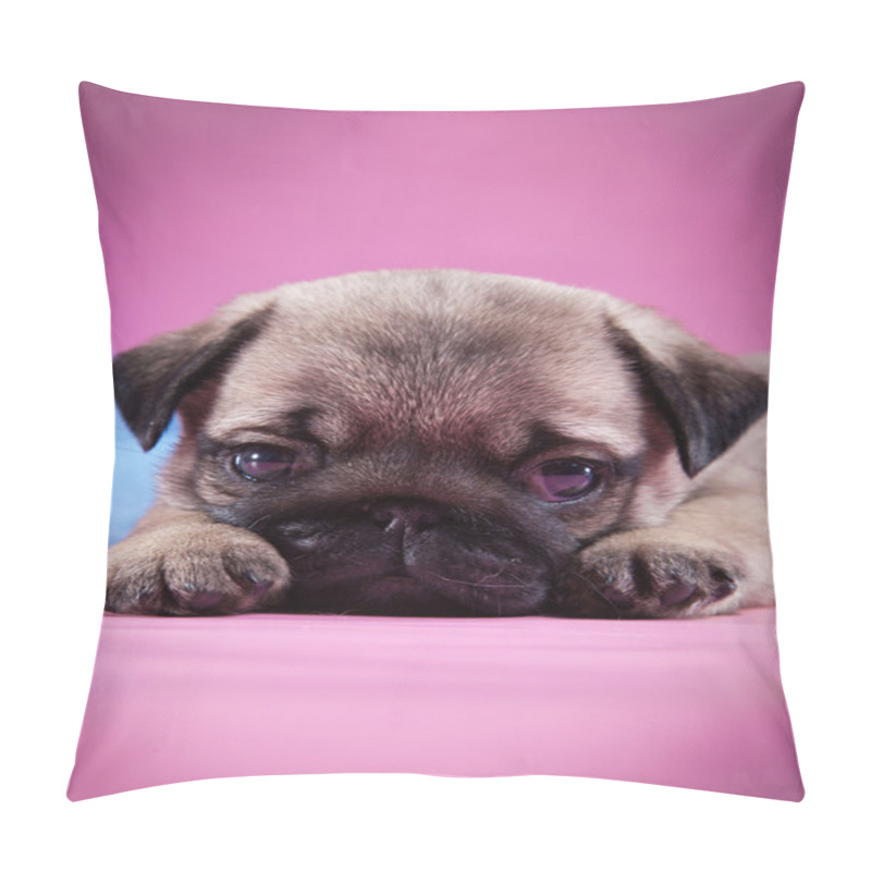 Personality  Pug puppy dog pillow covers