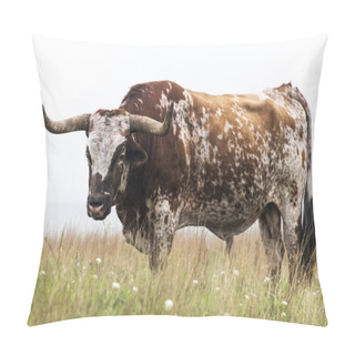 Personality  Longhorn Bull Pillow Covers