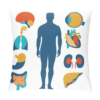 Personality  Flat Design Icons For Medical Theme. Human Anatomy, Huge Collection Of Human Organs Pillow Covers