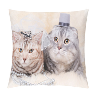 Personality  Cat. Pillow Covers