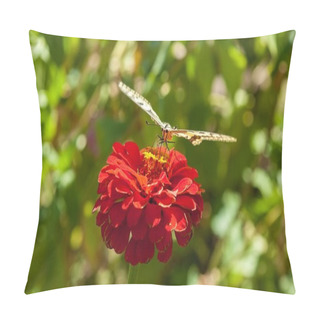 Personality  Monarch Butterfly On A Flower Pillow Covers