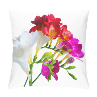 Personality  Multi-colored Freesias Pillow Covers
