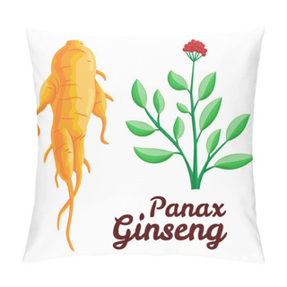 Personality  Root And Leaves Panax Ginseng. Healthy Lifestyle. For Traditional Medicine, Gardening. Biological Additives Are. Vector Colorful Flat Illustration Of Medicinal Plants. Isolated On White Background Pillow Covers