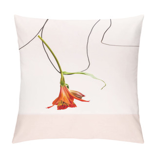 Personality  Floral Composition With Red Alstroemeria On Wire Isolated On Beige Pillow Covers