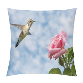 Personality  Tiny Juvenile Male Hummingbird Hovering Close To A Rose Pillow Covers