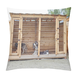 Personality  Dog Kennel With Siberian Husky. Pillow Covers
