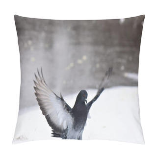 Personality  Flock Of Pigeons On Frozen Lake In Cloudy Winter Day Close Up Pillow Covers