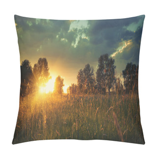 Personality  Summer Meadow On The Dusk Pillow Covers