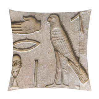 Personality  Egyptian Hieroglyphs On The Wall In A Temple Pillow Covers