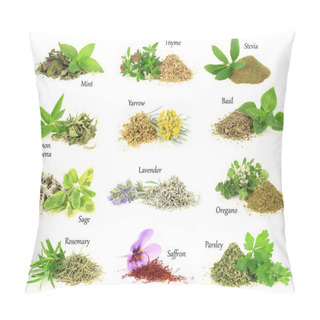 Personality  Collection Of Fresh And Dry Aromatic Herbs Pillow Covers