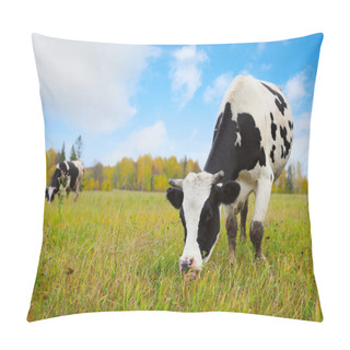 Personality  Herd Pillow Covers