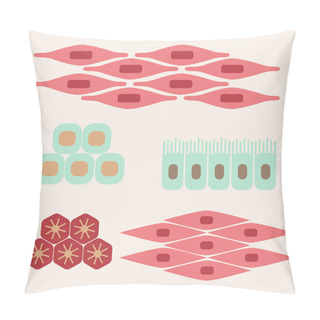 Personality  Different Human Tissue Types Pillow Covers
