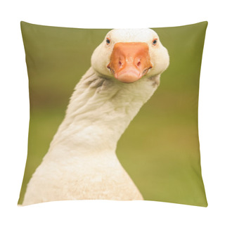 Personality  Goose Pillow Covers